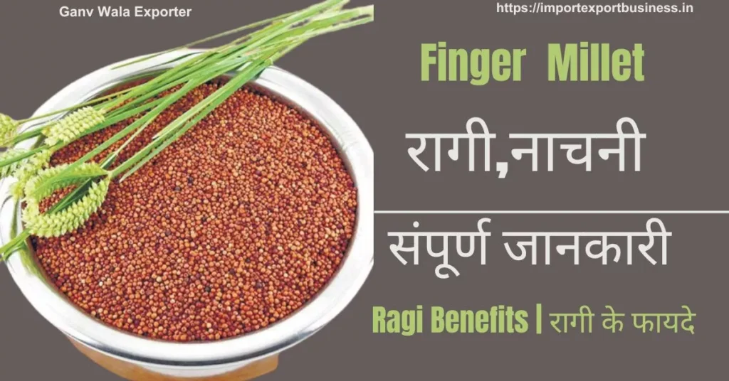 Ragi Mudde