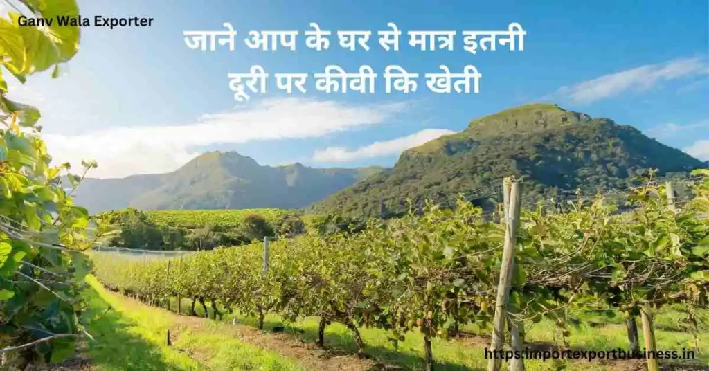 कीवी फल भारत में कहां पैदा होता है