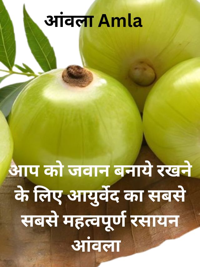 amla khane ke fayde