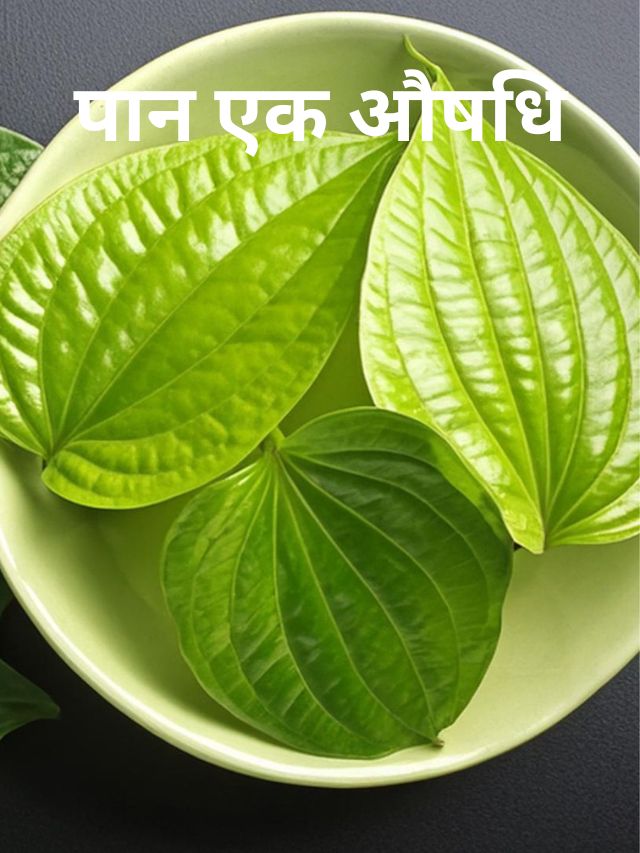 Paan Khane Ke Fayde  | पान खाने के फायदे