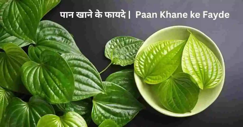 Paan Khane ke Fayde